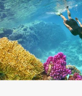 Best Snorkeling Spots in Egypt