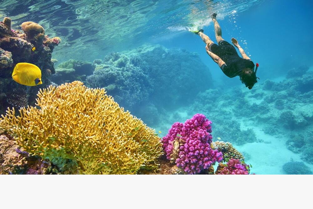 Best Snorkeling Spots in Egypt