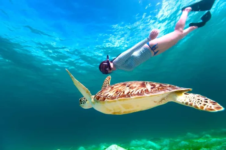 Marsa Mubarak Marine Life Exploration
