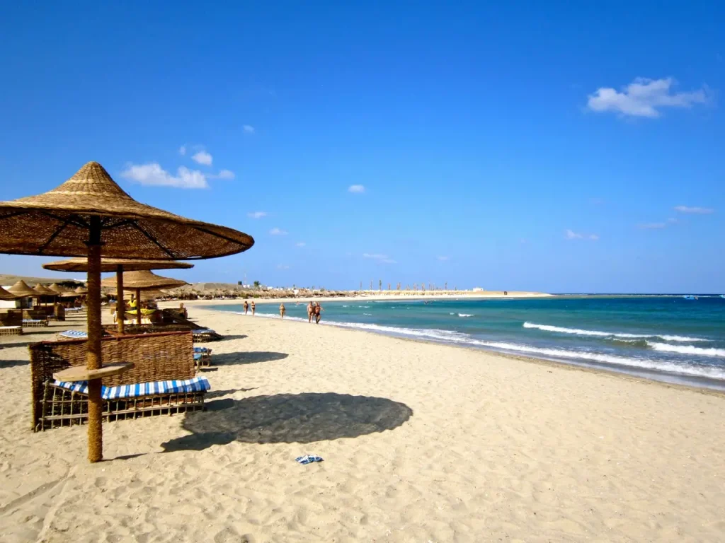 Abu Dabbab Bay Sea Turtle & Dugong Snorkeling