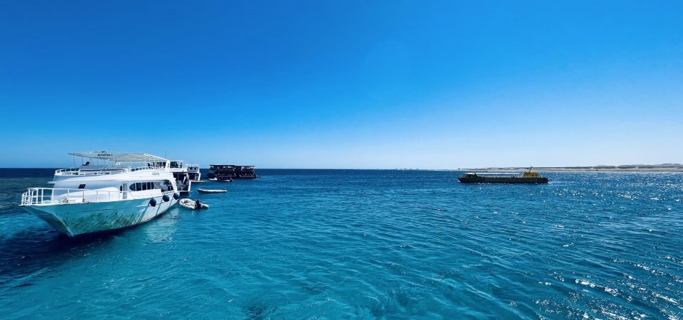 Marsa Mubarak Marine Life Exploration