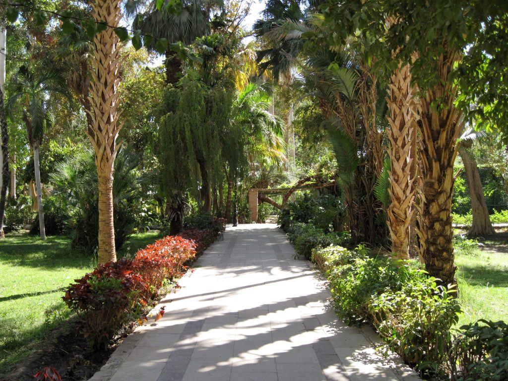 Aswan Botanical Garden & Elephantine Island Tour