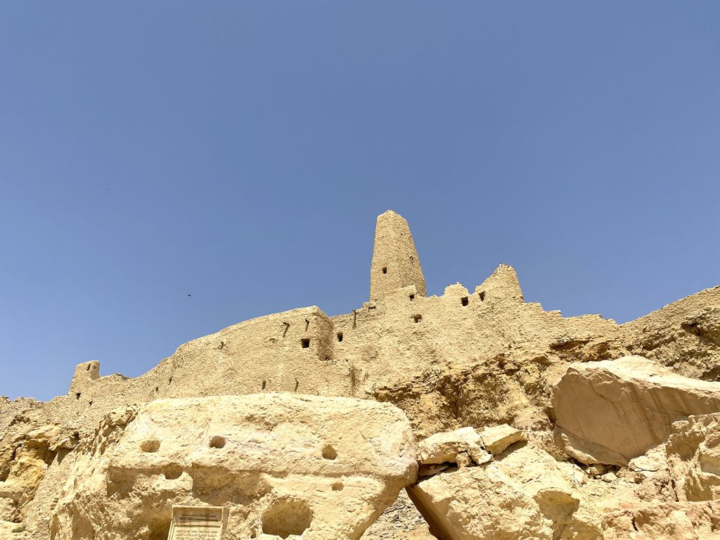 Siwa full day tour from Cairo