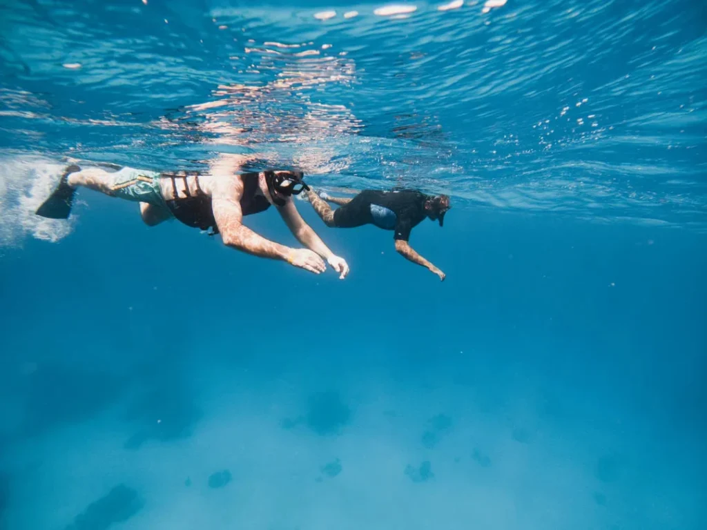 Marsa Mubarak Marine Life Exploration