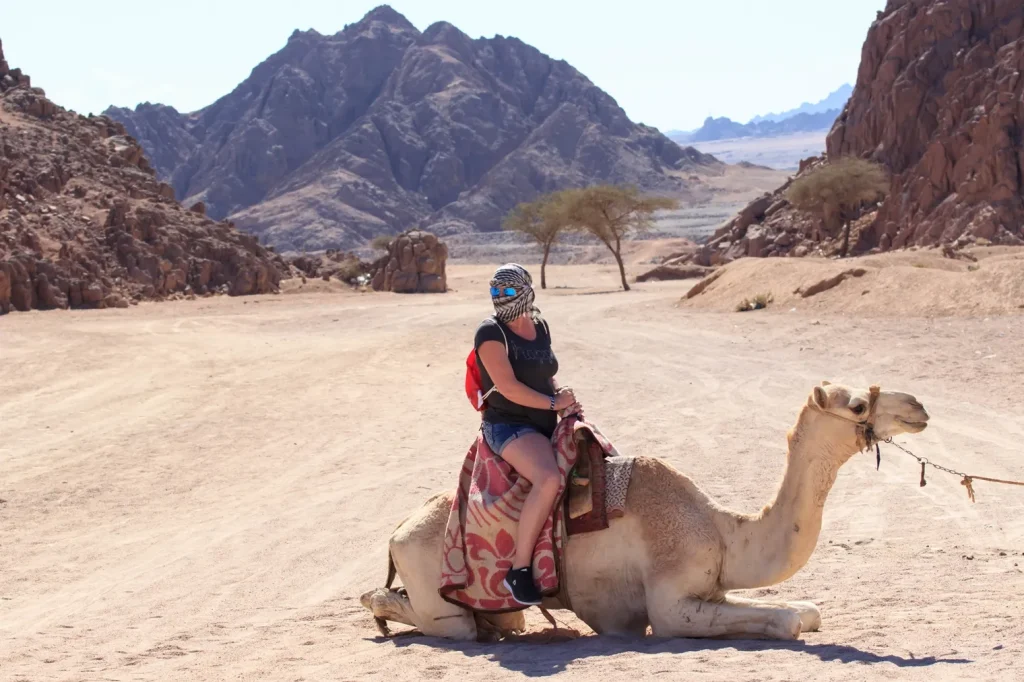 Wadi El Gemal National Park Safari