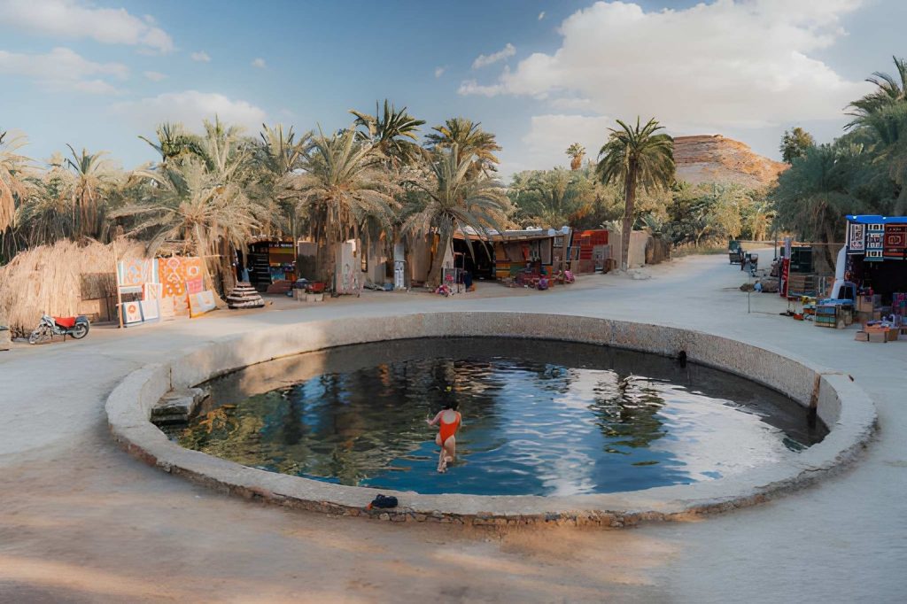 Siwa full day tour from Cairo