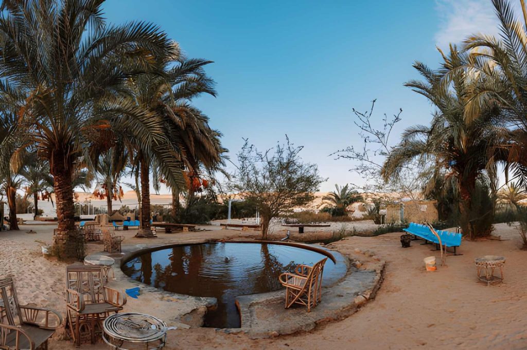 Siwa full day tour from Cairo