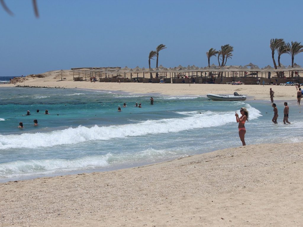 Abu Dabbab Bay Sea Turtle & Dugong Snorkeling