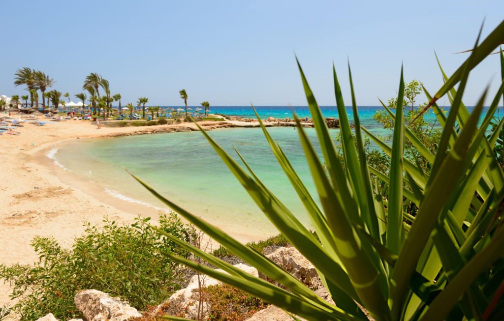 ⁠Day Trip From Hurghada To Marsa Alam